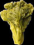 生菜