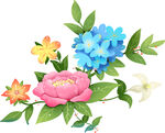 手绘花卉