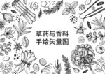 草药与香料矢量图