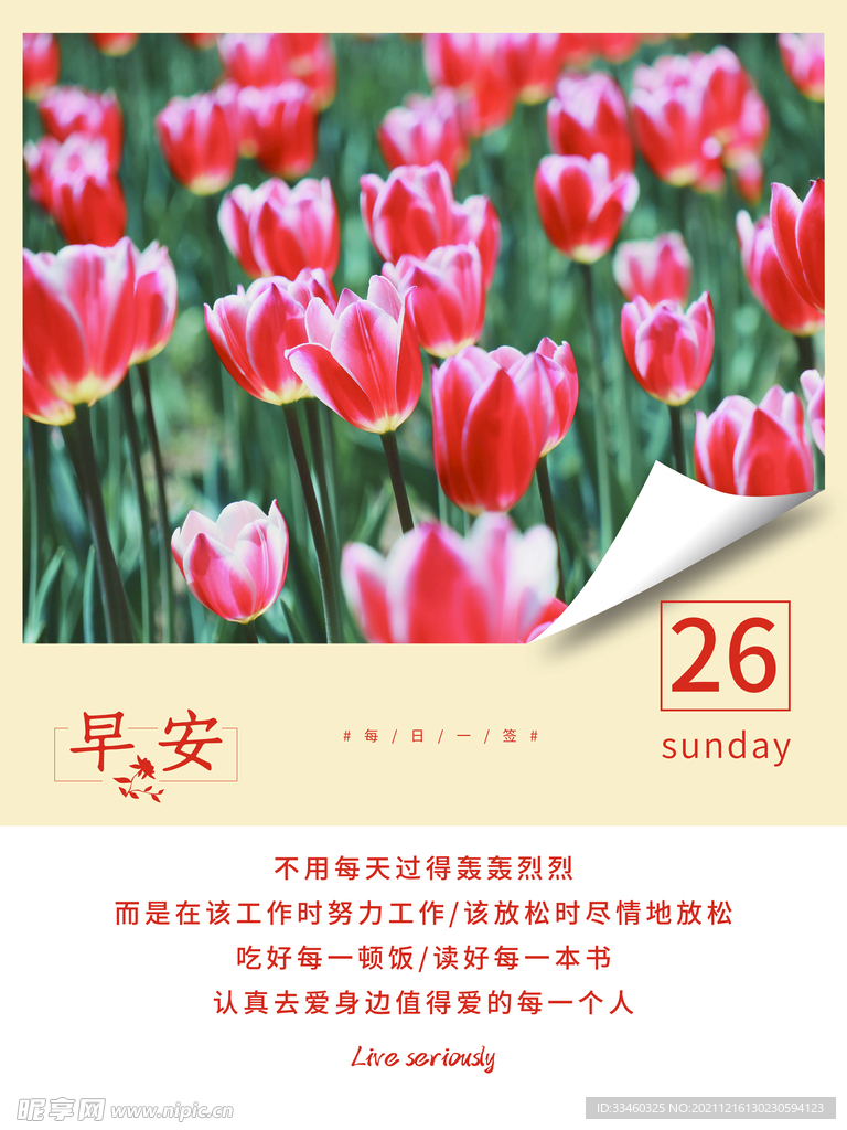 早安