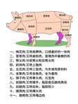 猪肉分切图 源文件