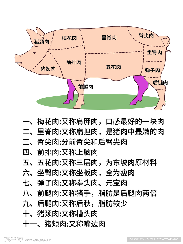 猪肉分切图 源文件