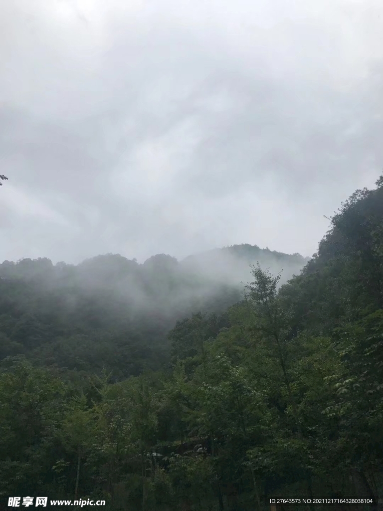 蓝天  雾