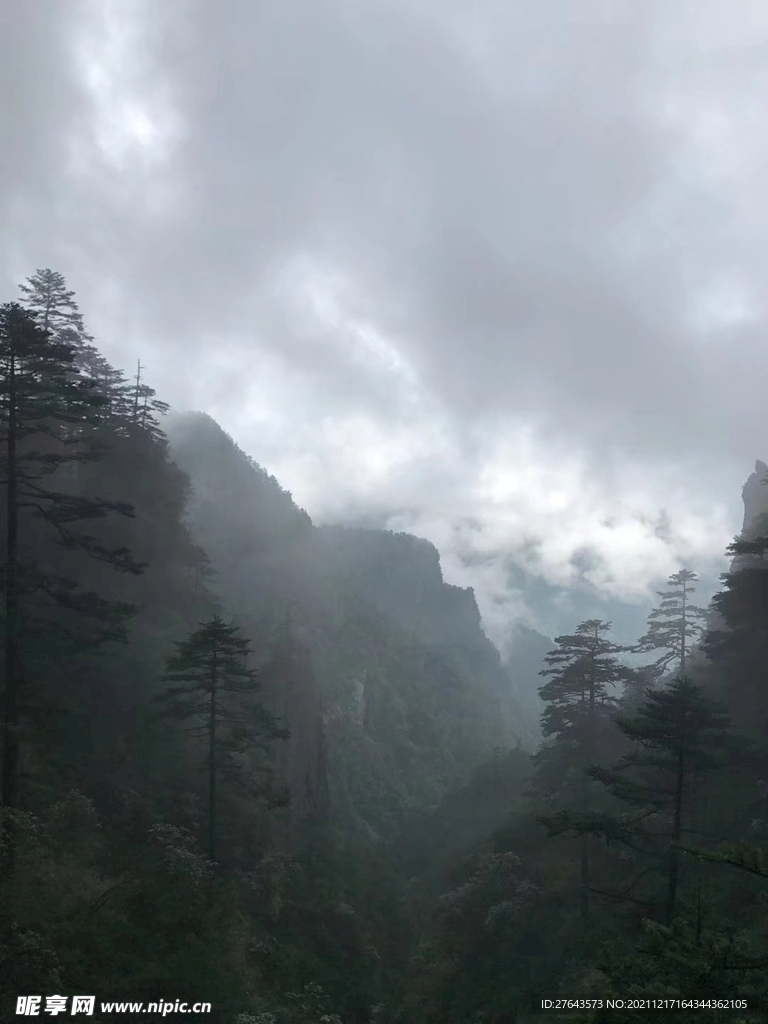风景