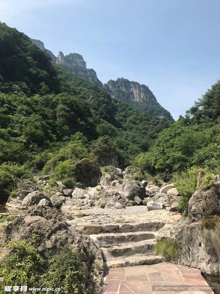 山