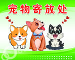 宠物寄存处