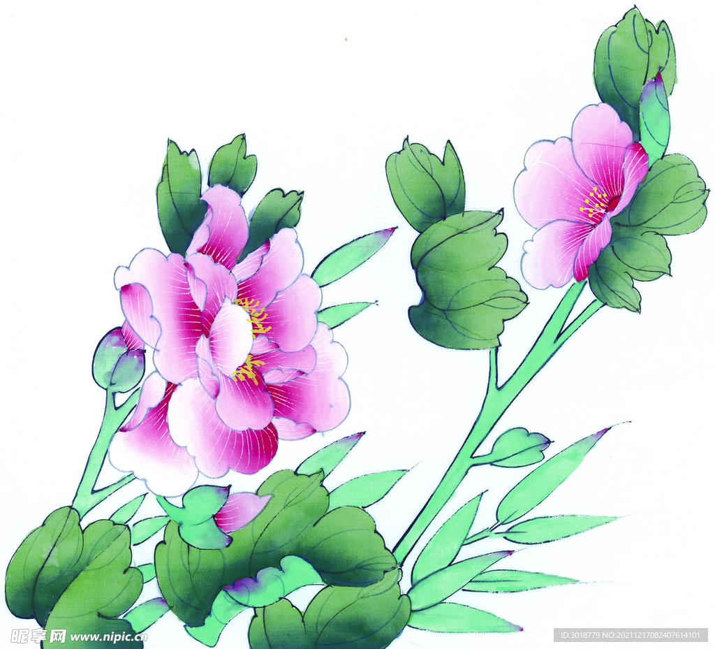 花鸟画 