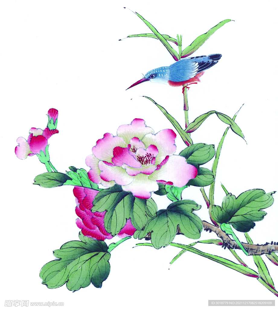 花鸟画 