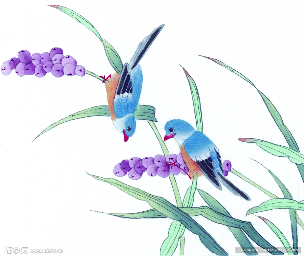 花鸟画 