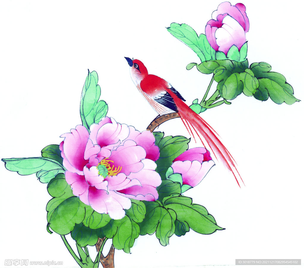 花鸟画 