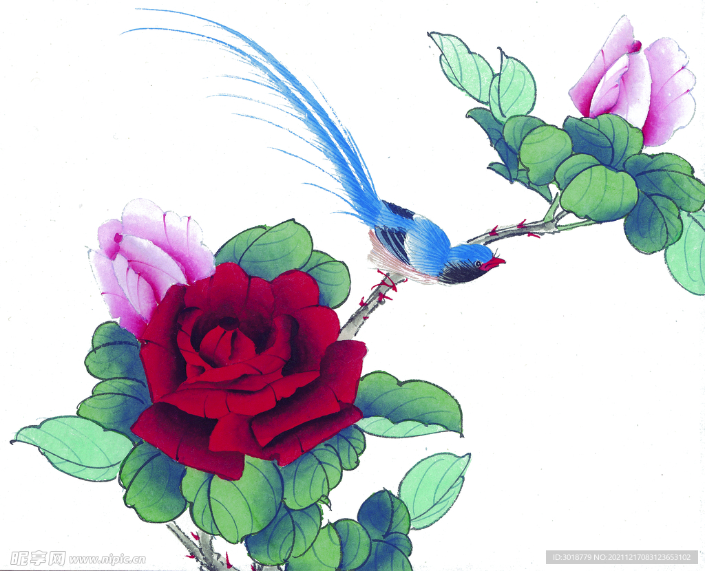 花鸟画 