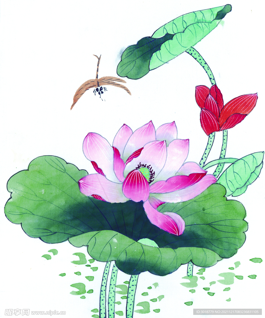 花鸟画 