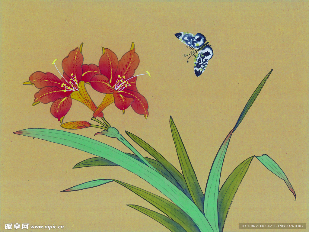 花鸟画 