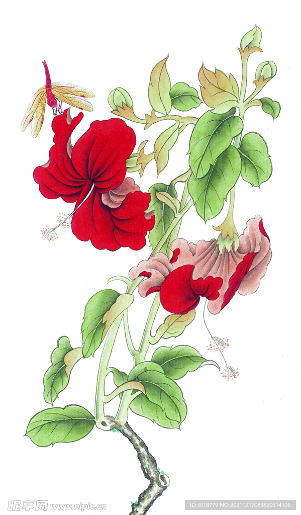 花鸟画
