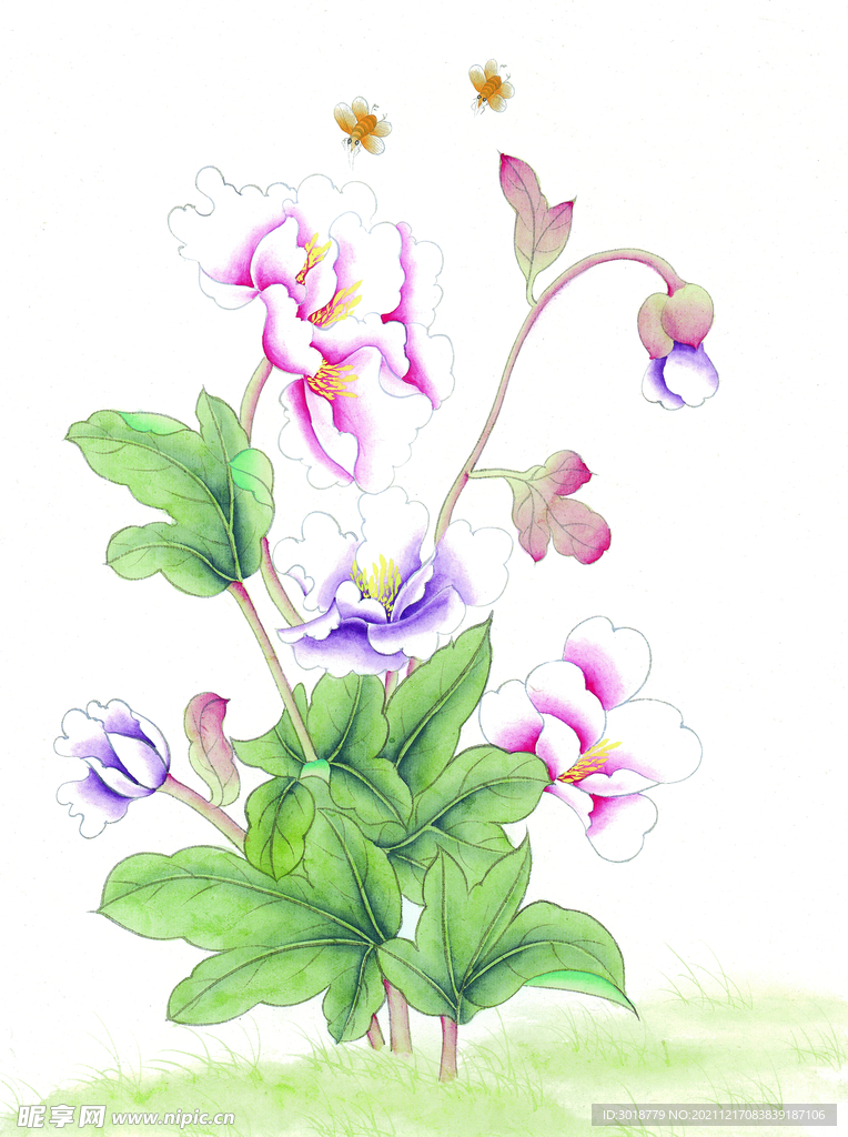 花鸟画 