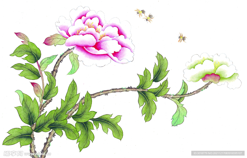 花鸟画 