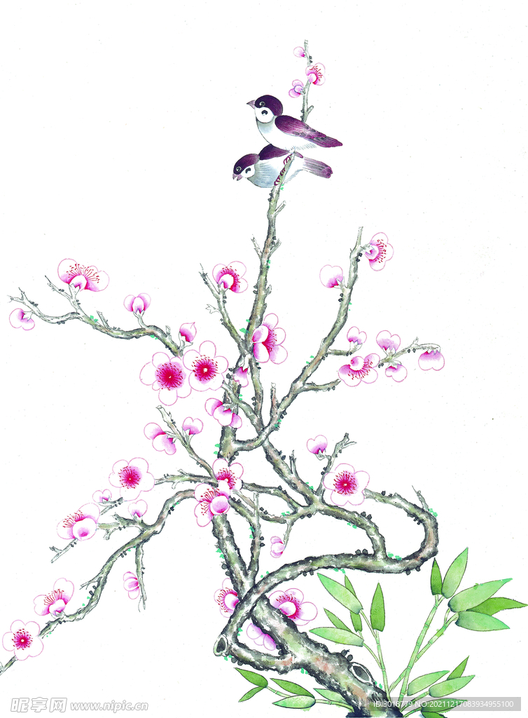 花鸟画 