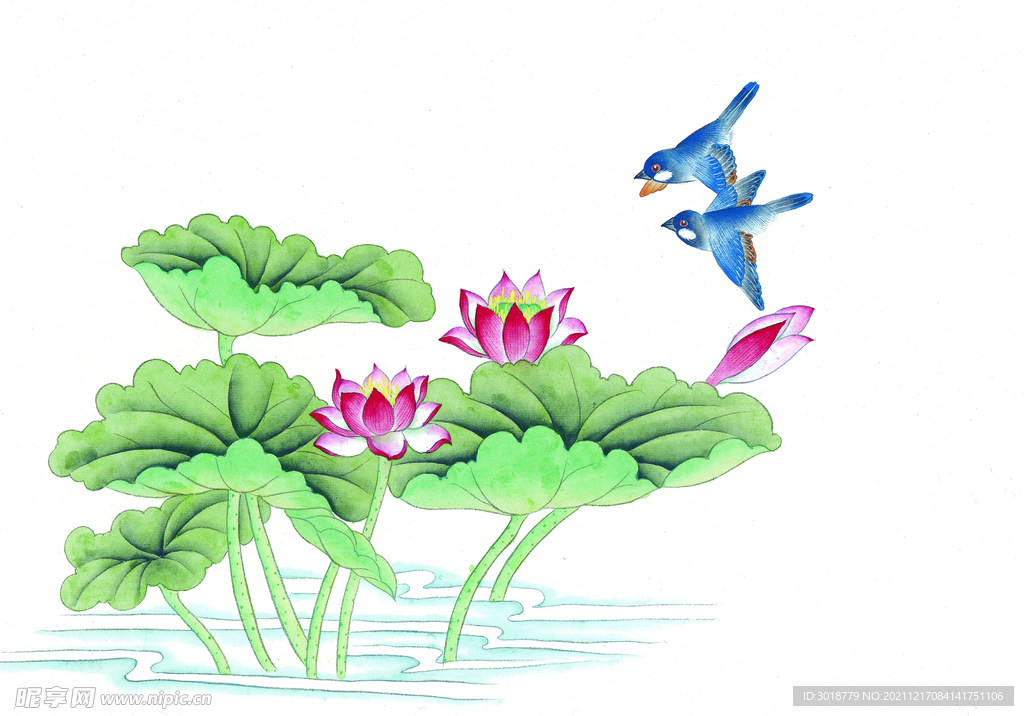 花鸟画 