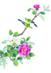 花鸟画 