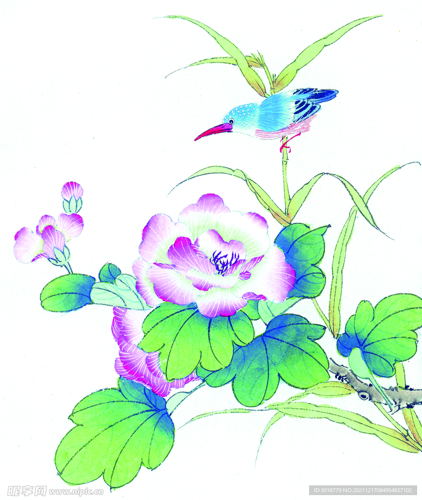 花鸟画 