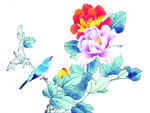 花鸟画 