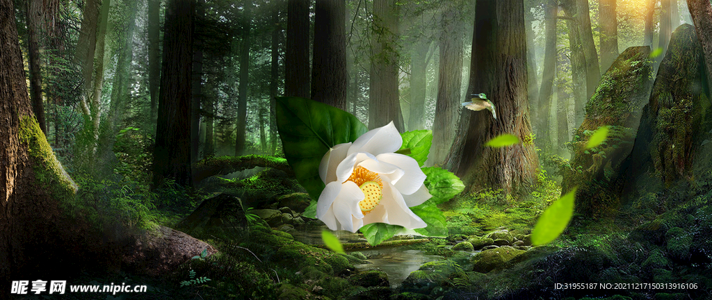 童话森林 梦幻森林背景