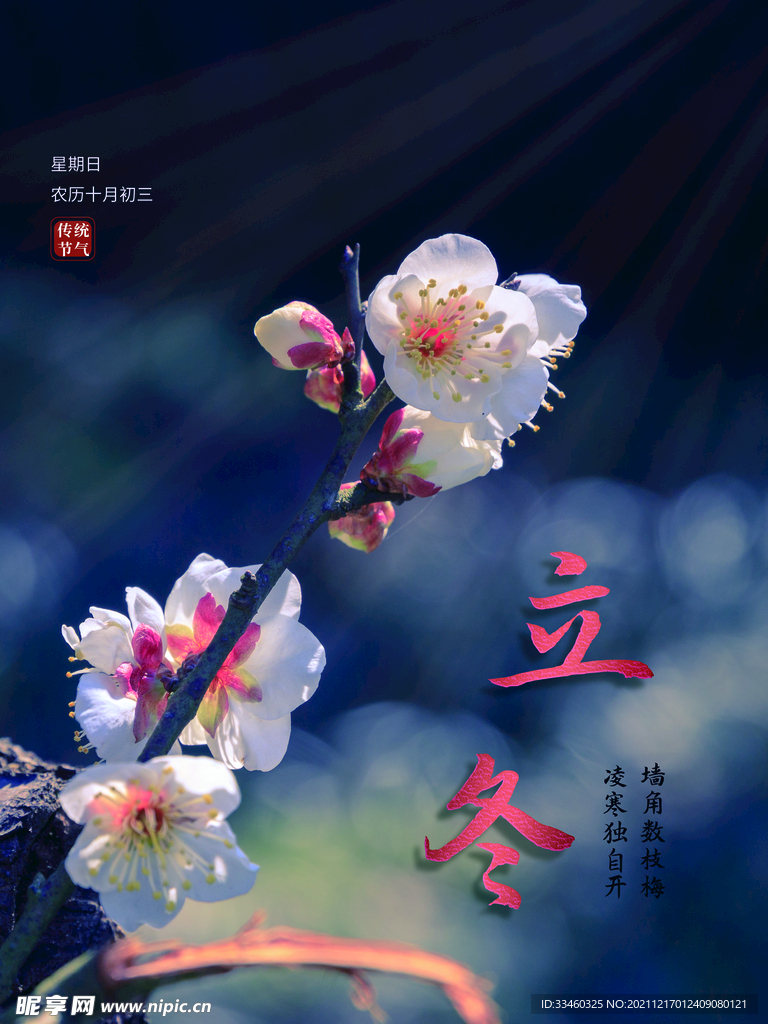 立冬