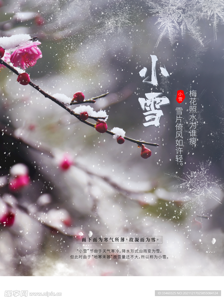 小雪