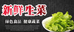 新鲜生菜