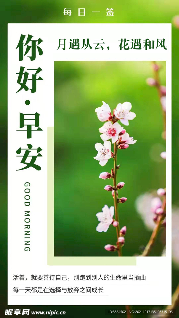 早上好 