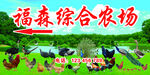 综合农场