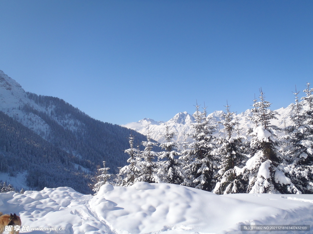 冬季户外雪山自然景观