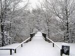 冬季户外雪景自然景观