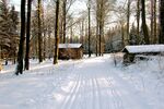 冬季雪景自然景观