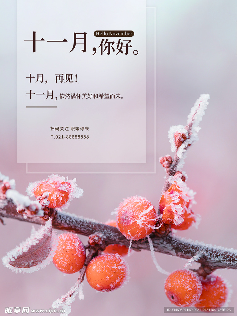十一月你好