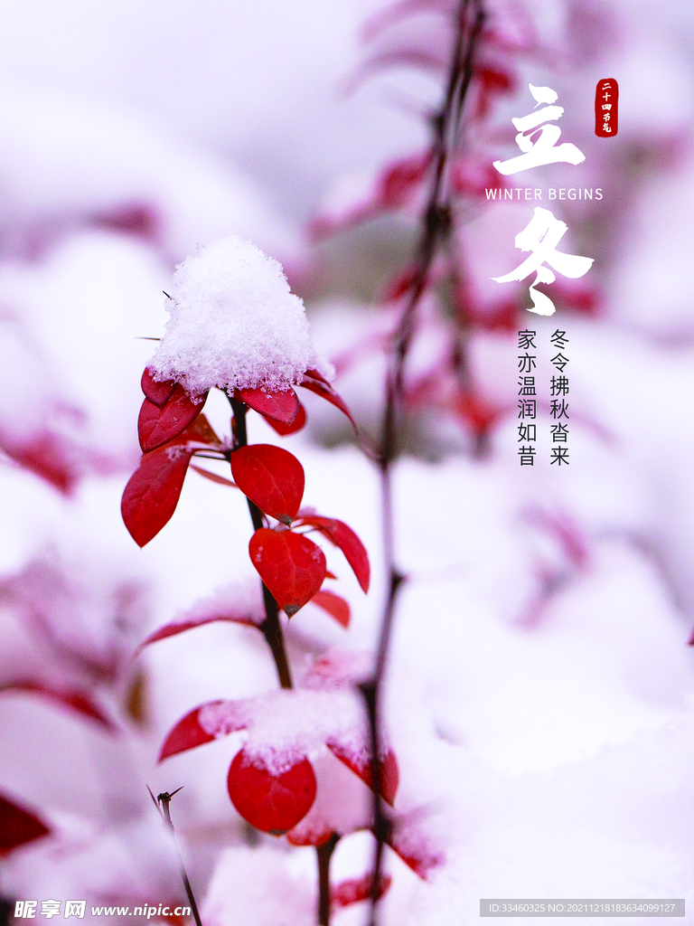 立冬