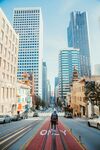城市