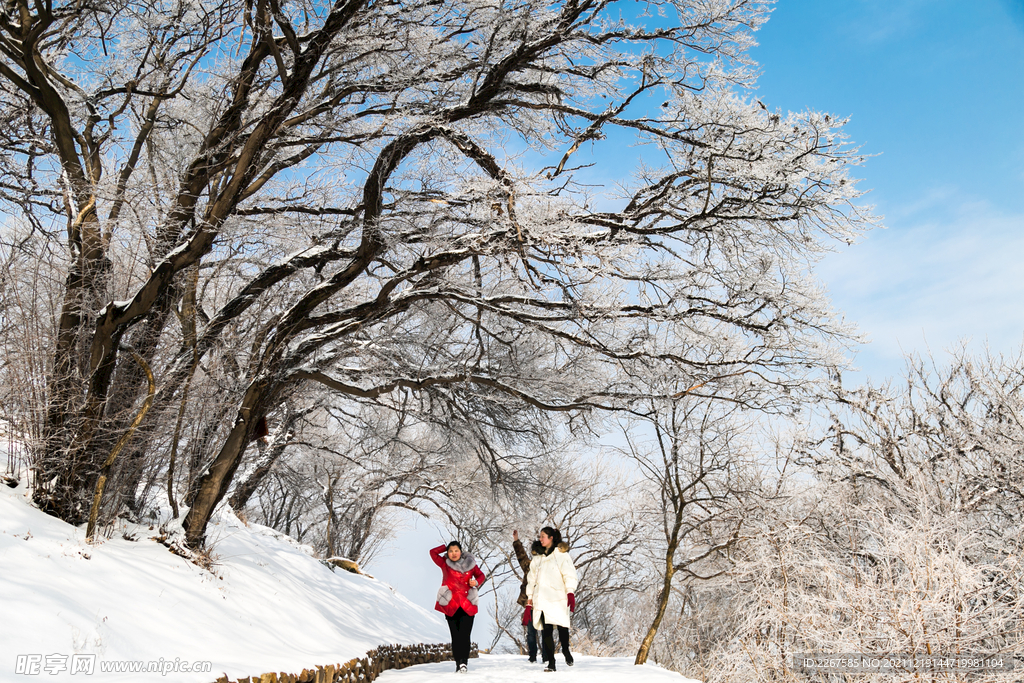 雪山