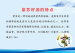 紫苏籽油的特点