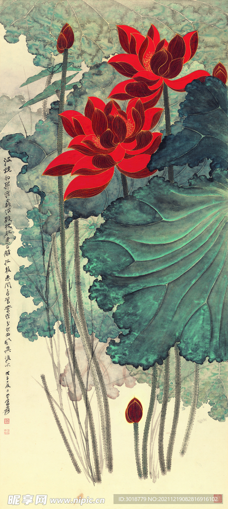 荷花