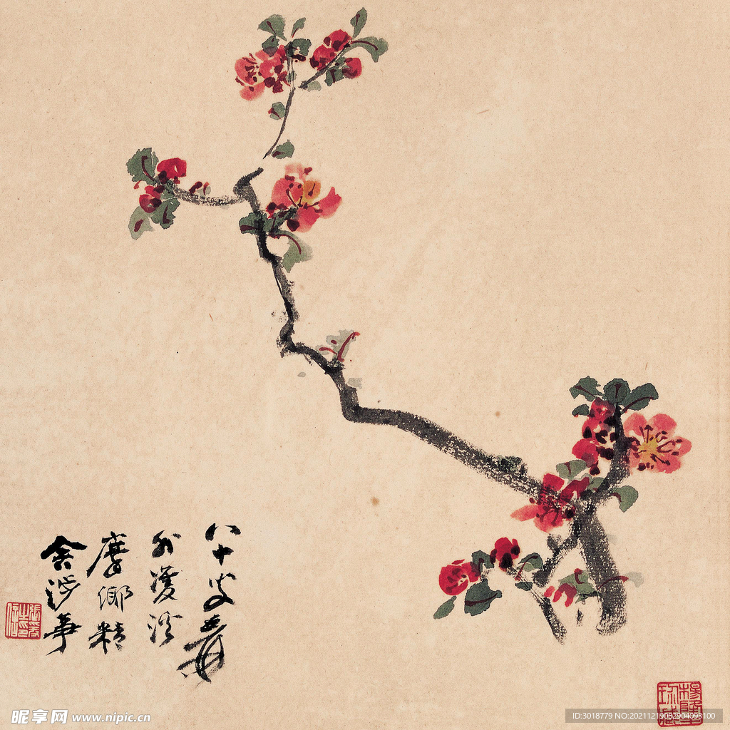 梅花图