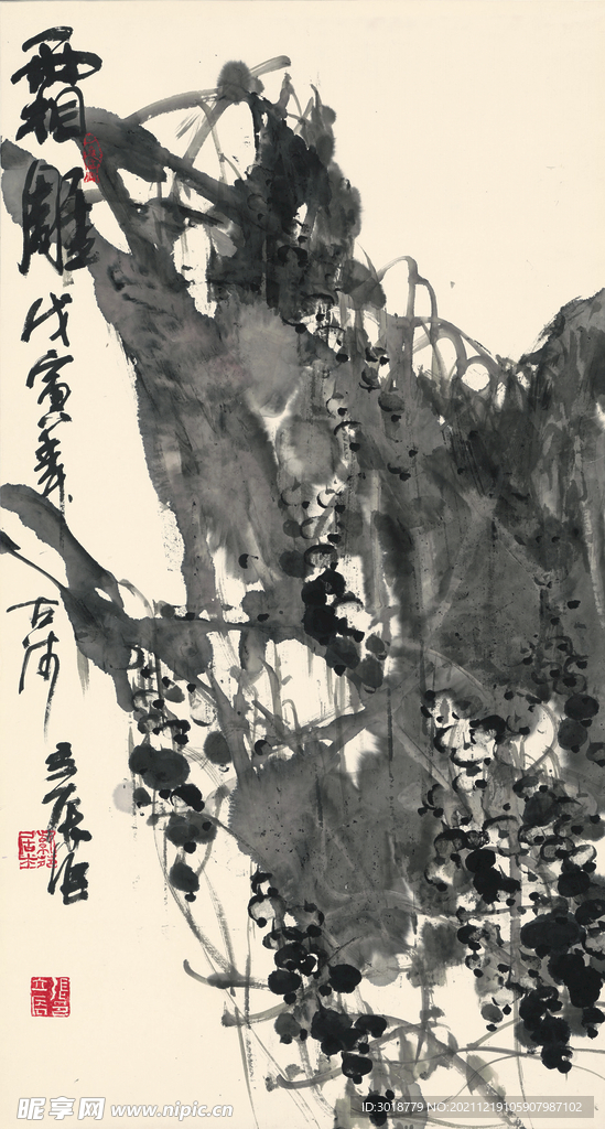 霜雕