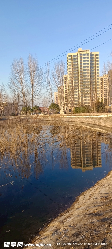高楼
