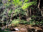 雁荡山