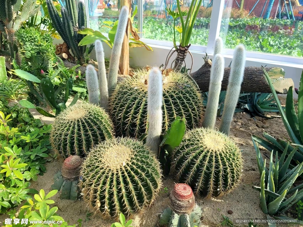 儿童乐园公园
