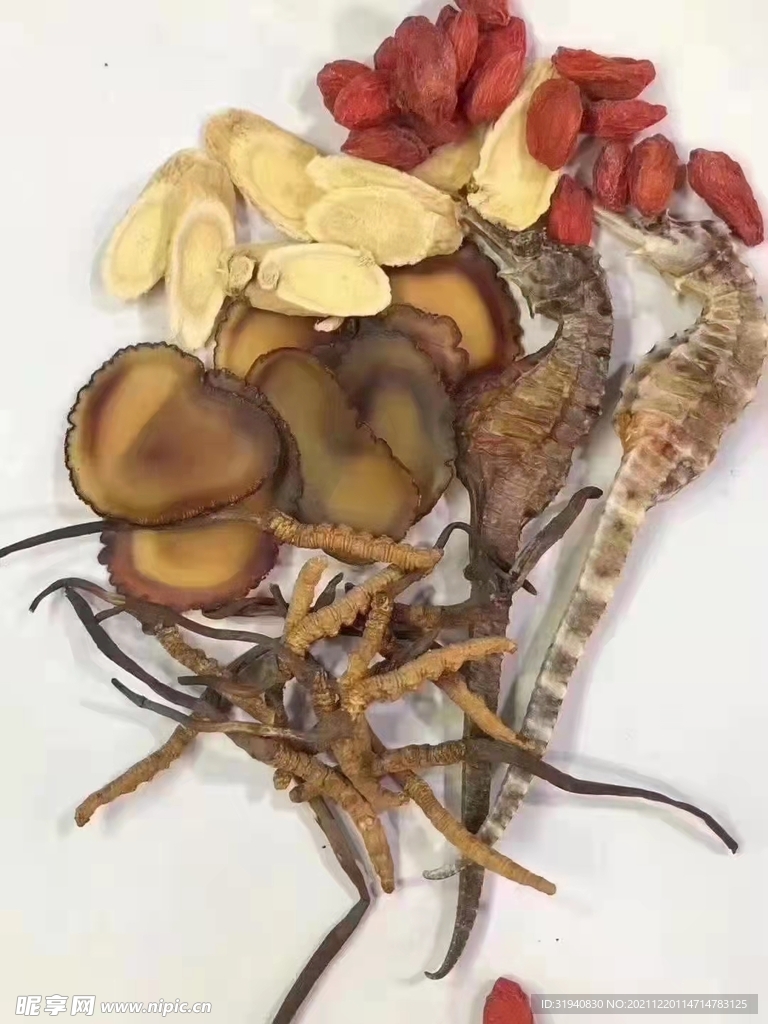 鹿茸补肾汤