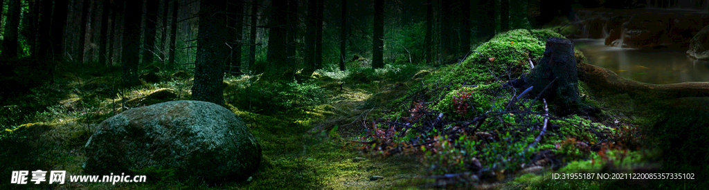 童话森林 梦幻森林背景
