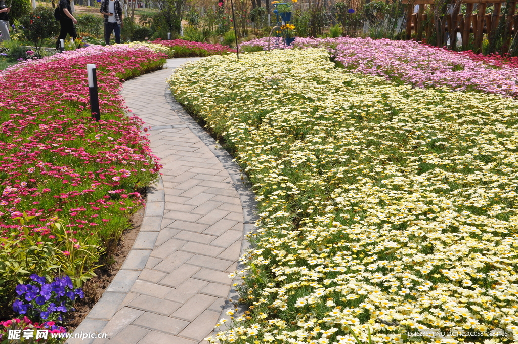 北京世园会花田景观