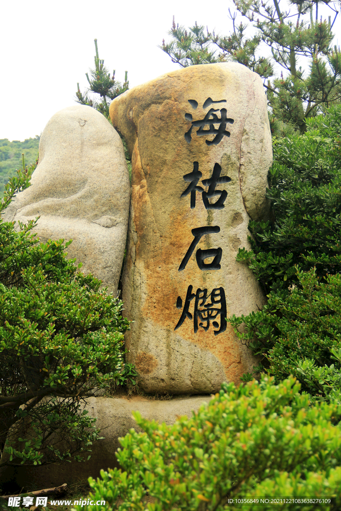 南海  舟山 