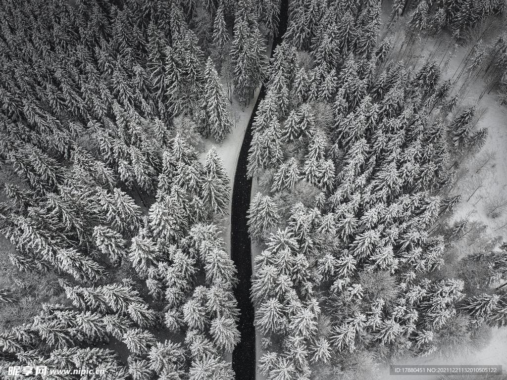 山林